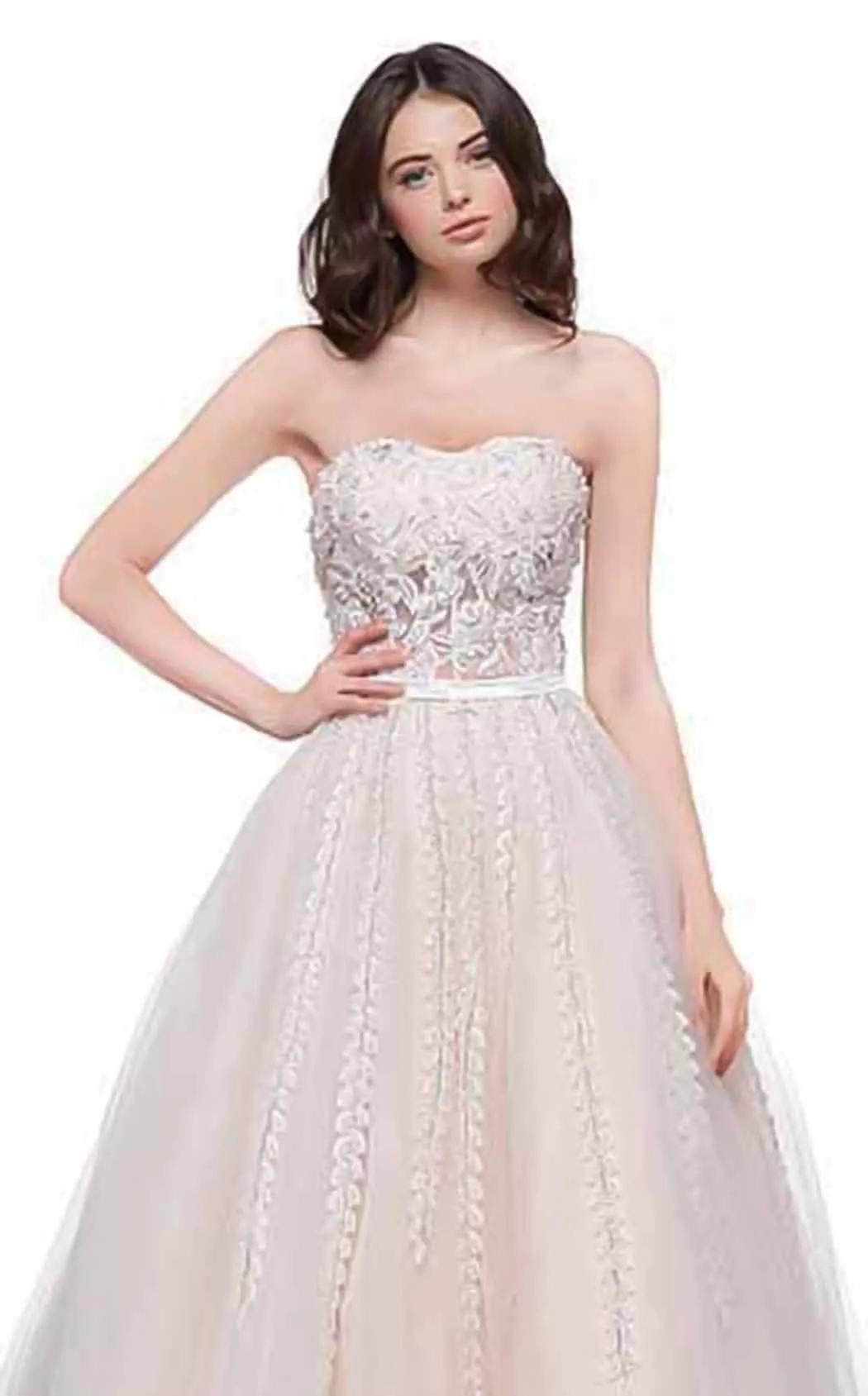 Colors Dress 2065 Dress