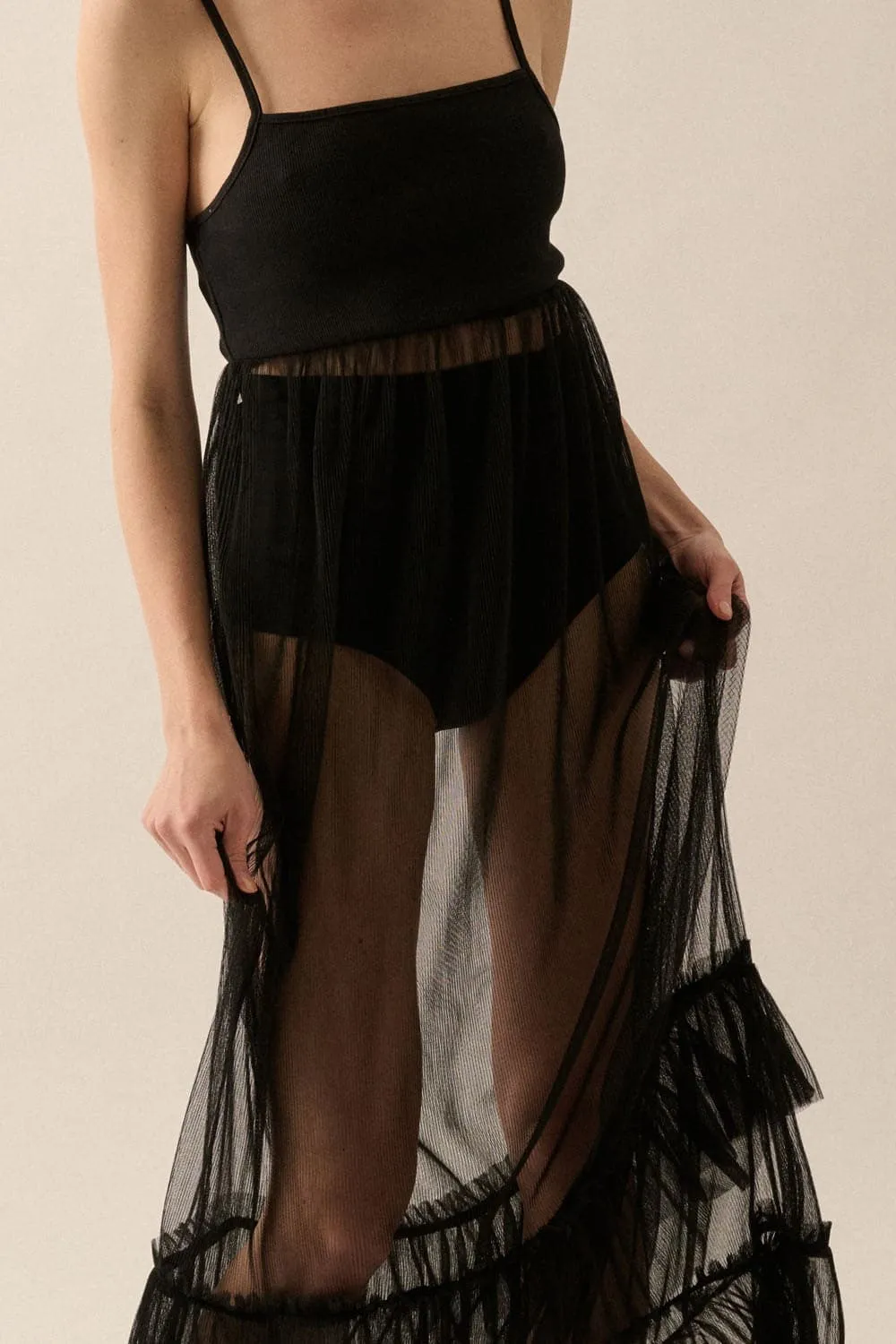 Dusk Dancer Sleeveless Sheer Organza Maxi Dress