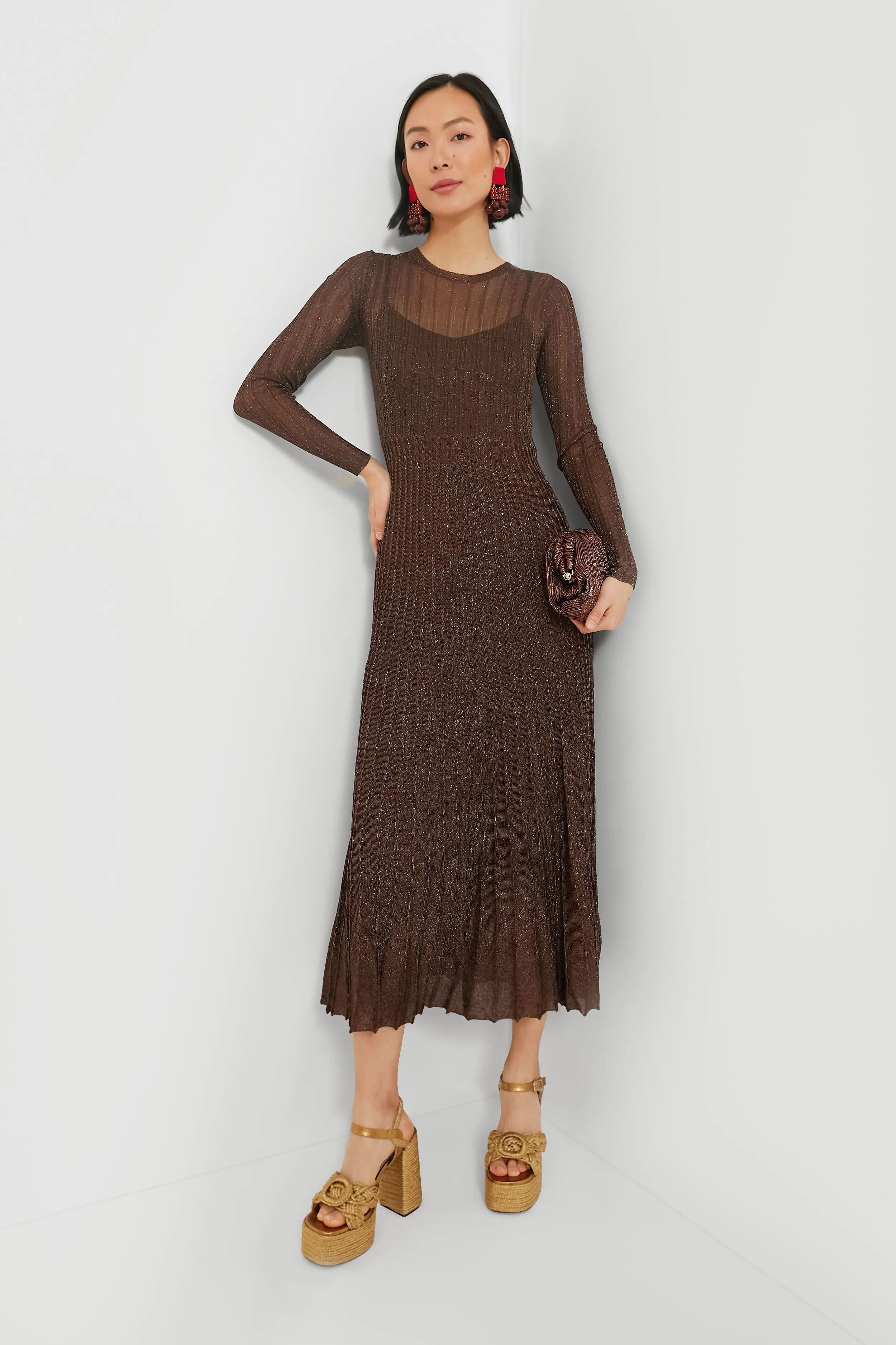 Exclusive Brown Long Sleeve Maxi Dress