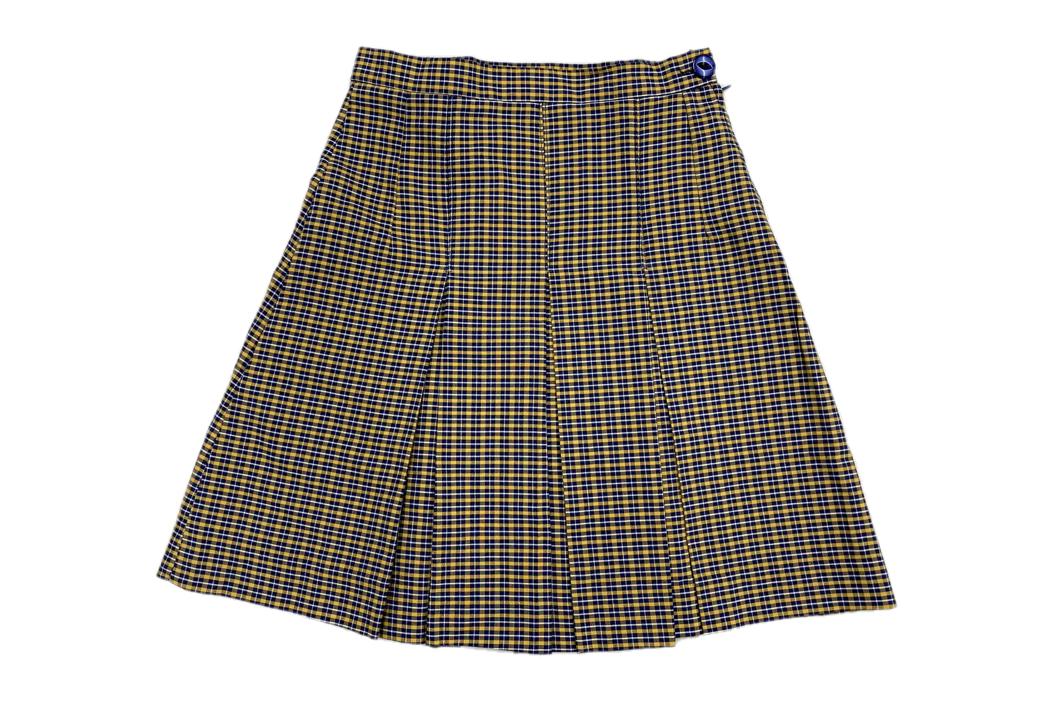 Pleated Skirt - Orissa Primary